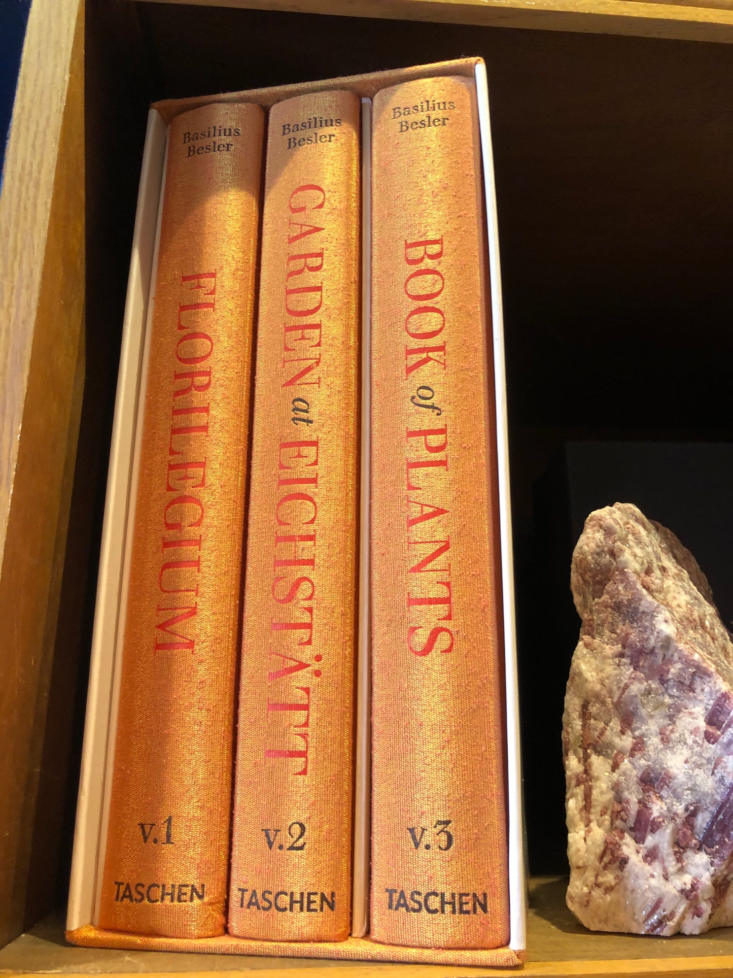 Basilius Besler. The Garden at Eichstätt