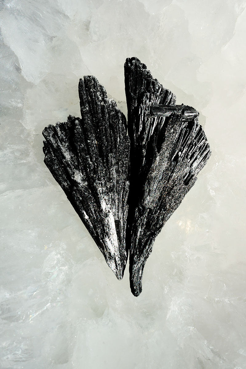 Black Kyanite Witches Broom Raw Piece