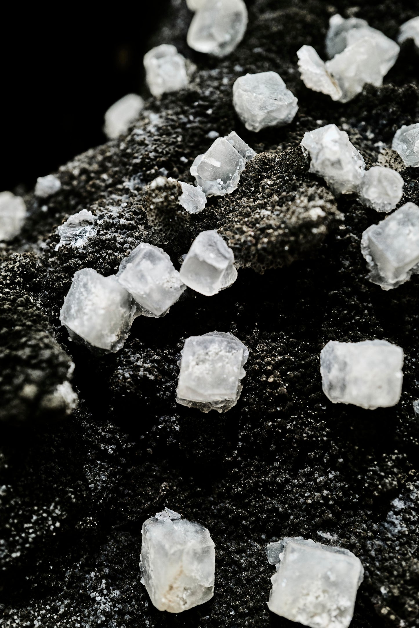 Black Galaxy Amethyst & Calcite