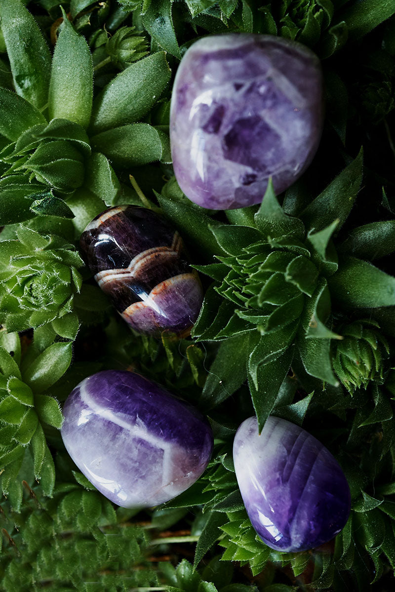 CHEVRON AMETHYST