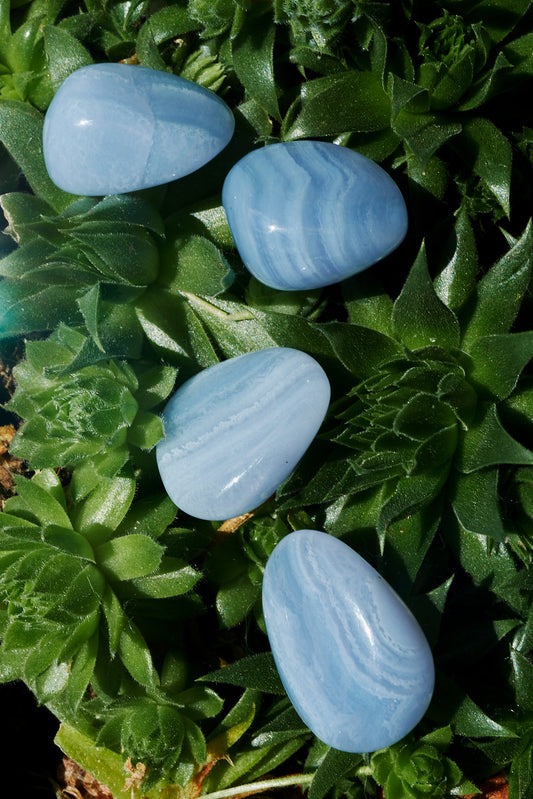 Blue Lace Agate Tumblestones