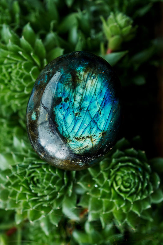 Labradorite Mini Palm Stone Polished