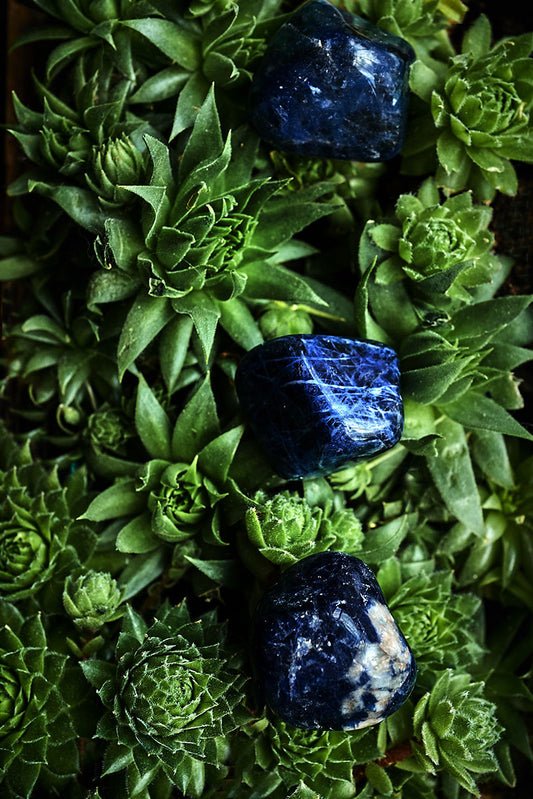 Sodalite Polished Tumblestone