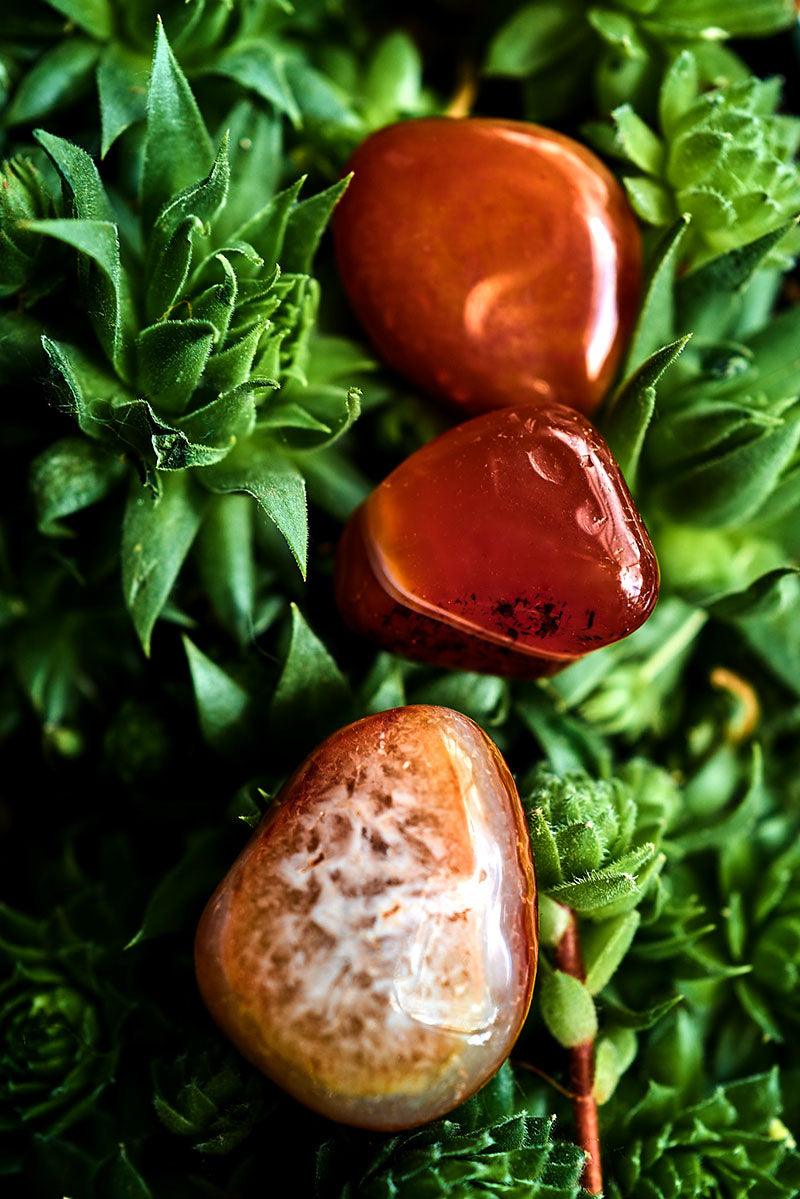 Carnelian - (Red/Orange)