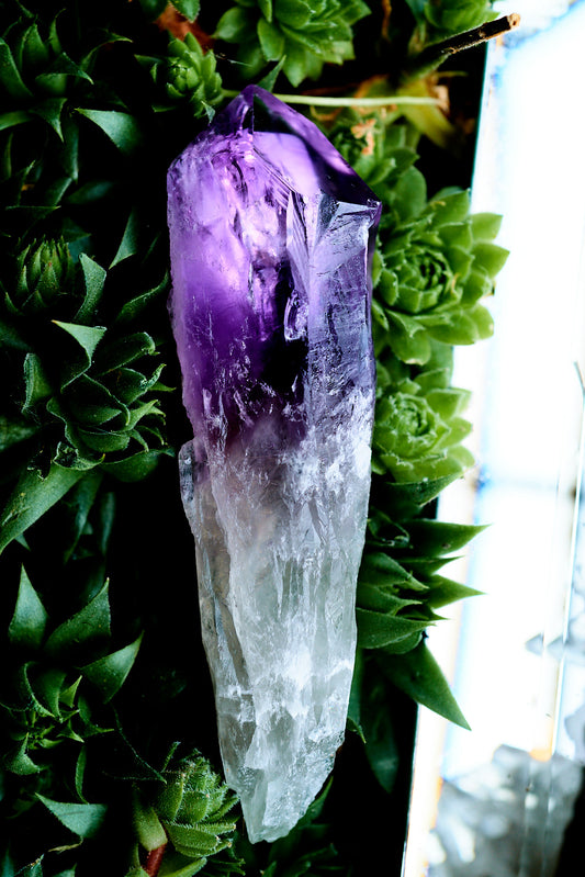 Amethyst Root Shard