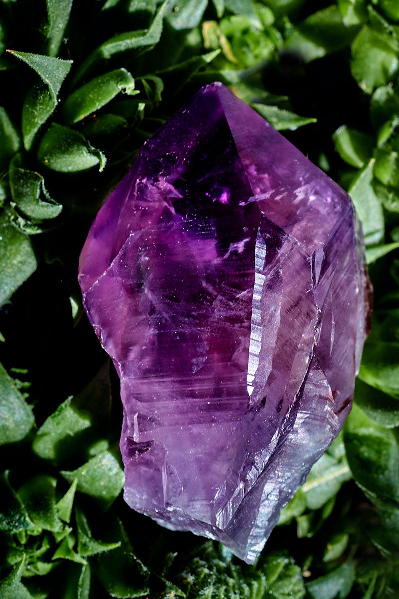Amethyst Root Point Raw