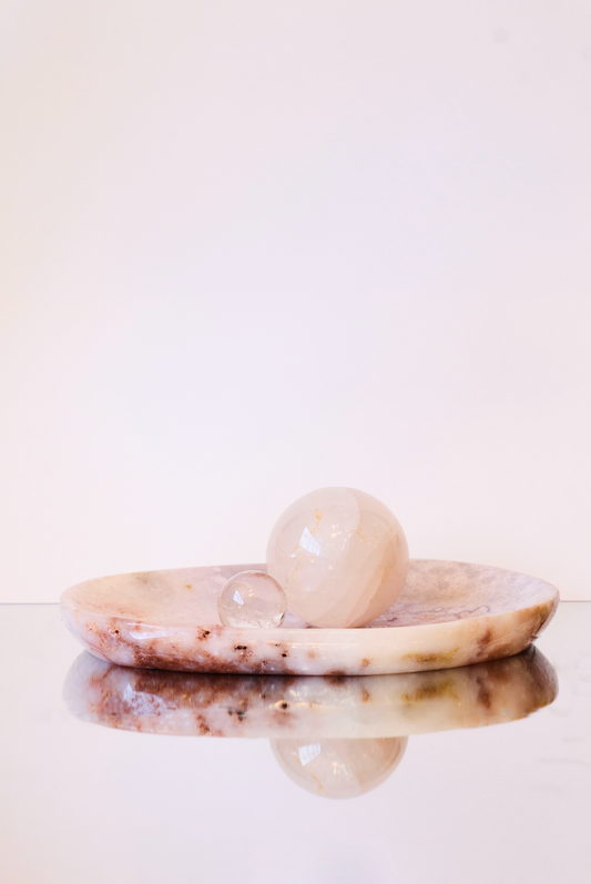 Petrified Wood, Agate and Druzy Plate
