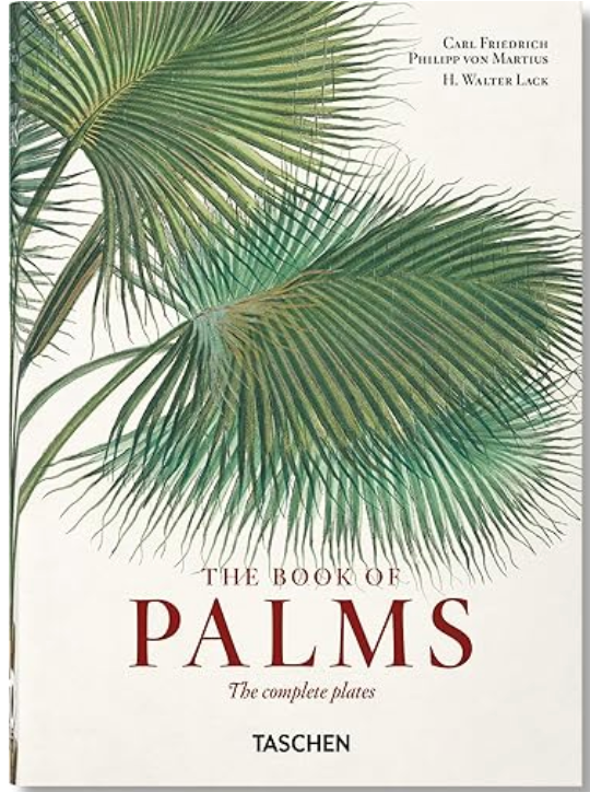 Martius Book of Palms by Taschen