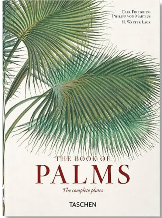 Martius Book of Palms by Taschen