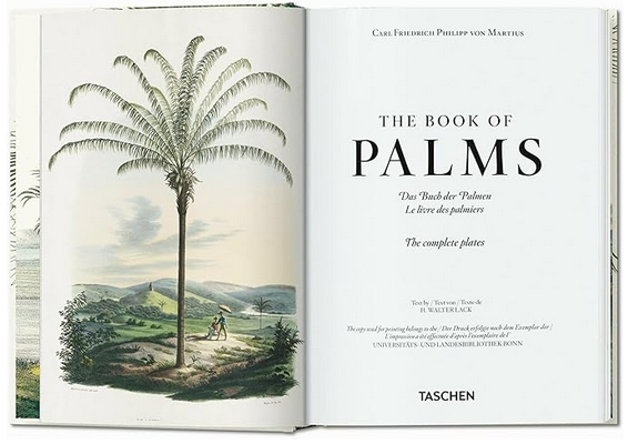 Martius Book of Palms by Taschen