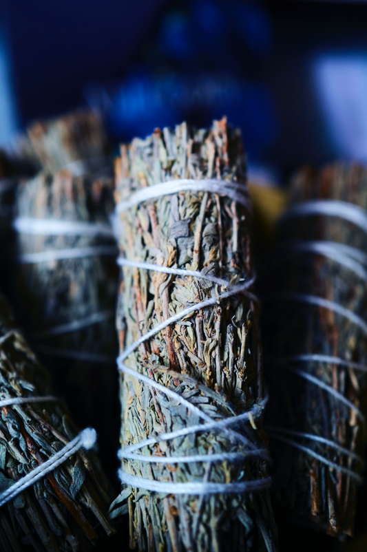 Allegory Black Sage  stick