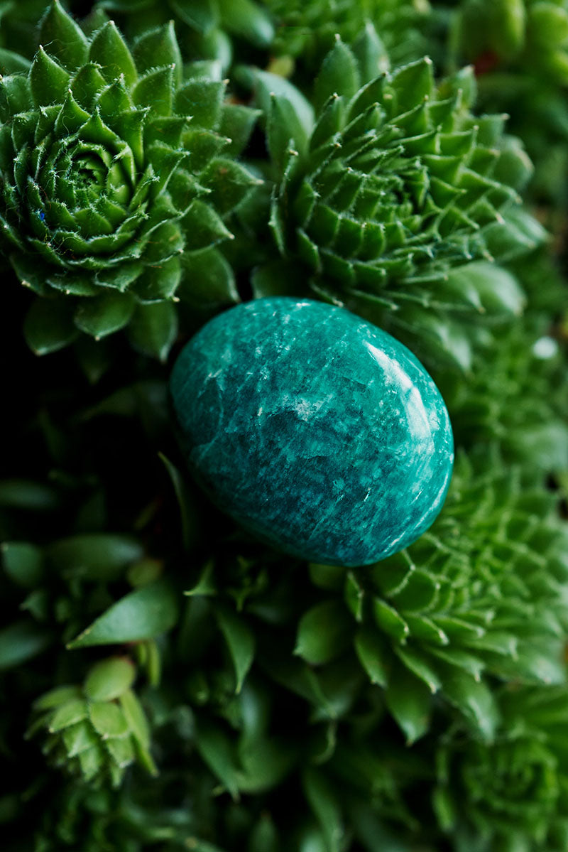 Amazonite Mini Palm stones