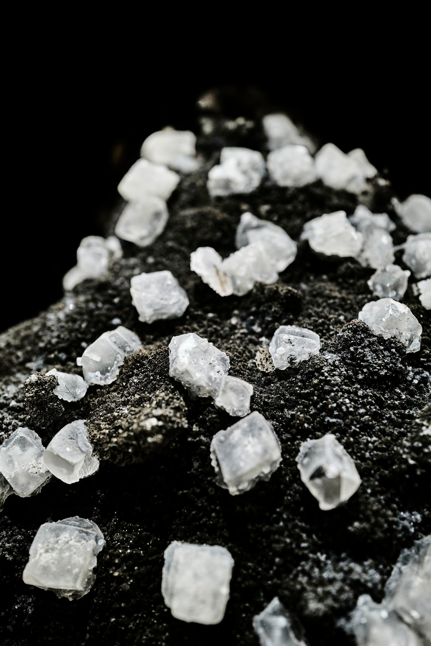 Black Galaxy Amethyst & Calcite