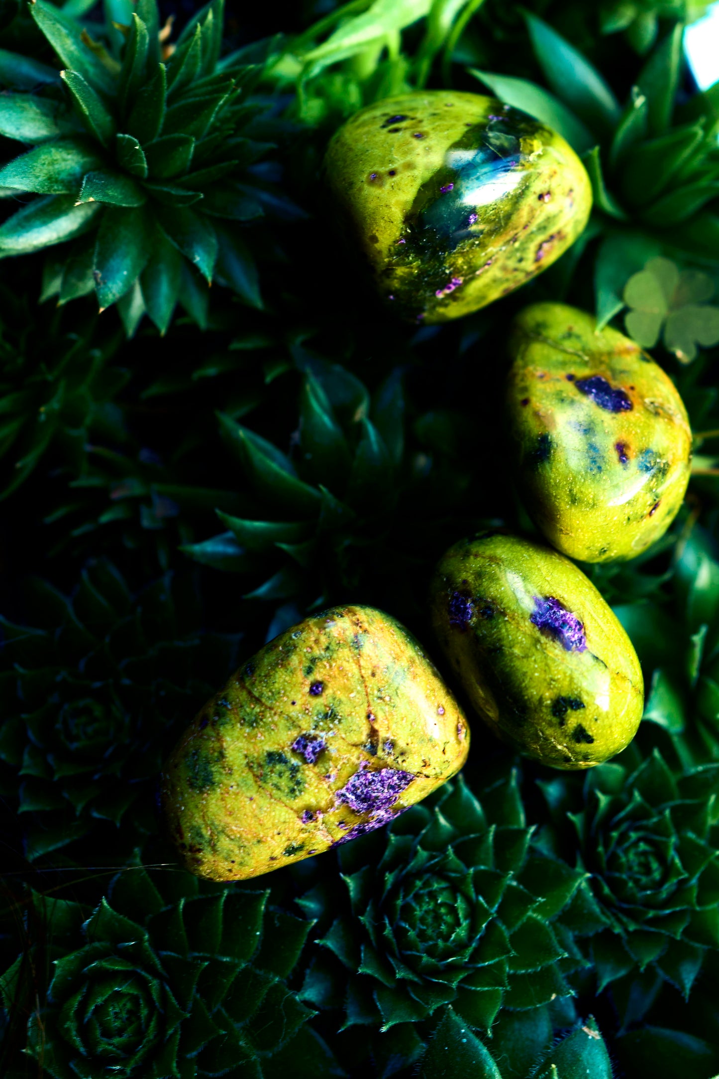 Serpentine with Sticktite (Tasmanian)